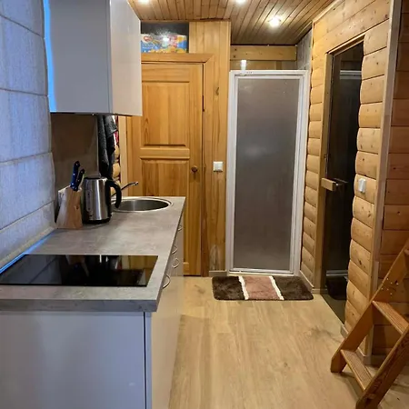Cozy House With Sauna And A Fireplace * וילנה