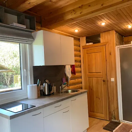 Cozy House With Sauna And A Fireplace * וילנה
