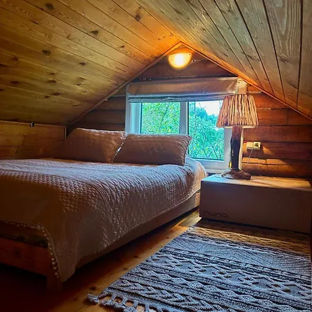 Cozy House With Sauna And A Fireplace Вильнюс